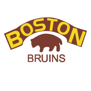 Boston Bruins(94) Logo