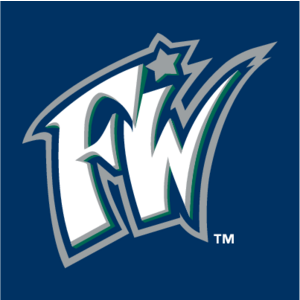 Fort Wayne Wizards(87) Logo