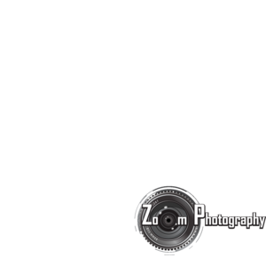 Zoom Photography Logo