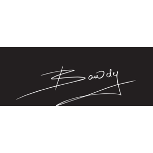 Bawdy Logo