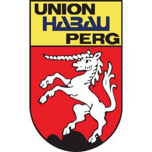 DSG Union Perg Logo
