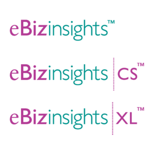 eBizinsights Logo