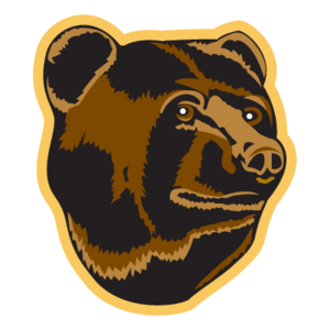 Boston Bruins(91) Logo
