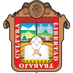 Gobierno del Estado de Mexico(113) Logo
