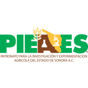 Pieaes Logo