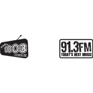 91.3 FM Logo