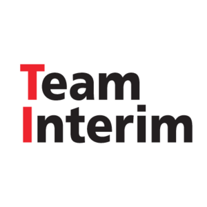 Team Interim Logo