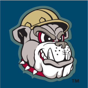 Mahoning Valley Scrappers(91) Logo