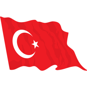 Türkbayragi Logo