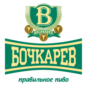 Bochkarev(12) Logo