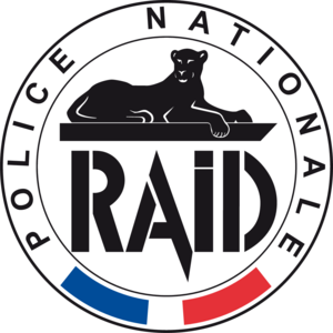 R.A.I.D. Logo
