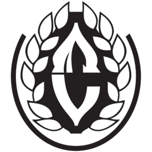 VSC Logo