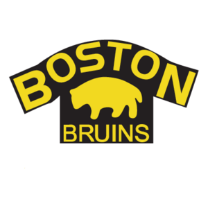 Boston Bruins(93) Logo