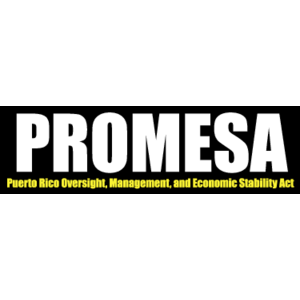 Promesa Logo