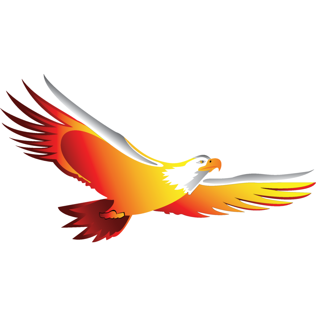 Eagle Logo Design: Create Your Own Eagle Logos
