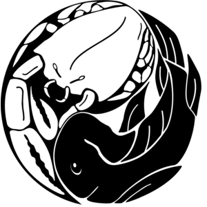 Yin & Yang Crab & Fish Logo