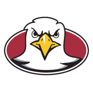 Boston College Eagles(110) Logo