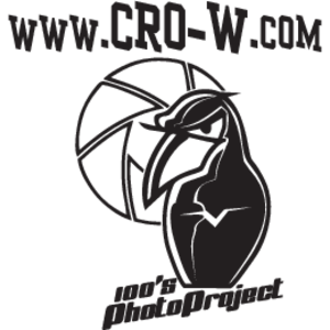 100s Crow Photo Project Logo