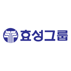 Hyosung Group(210) Logo