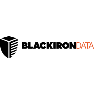 Black Iron Data Logo