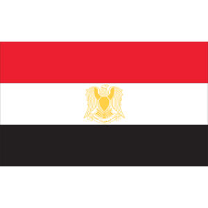 Egypt flag Logo