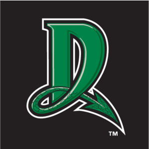 Dayton Dragons(123)
