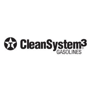 Clean System 3 Logo