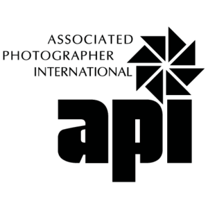API(266) Logo