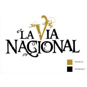 La Via Nacional Logo