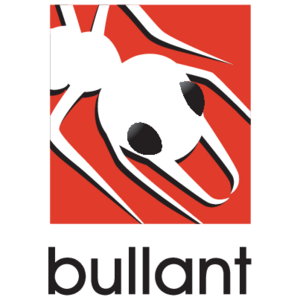 Bullant Logo