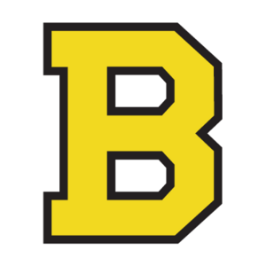 Boston Bruins(98) Logo