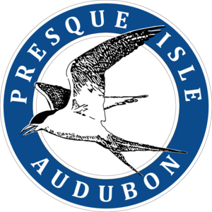 Presque Isle Audubon Erie Logo