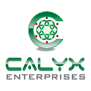 Calyx Anterprises Logo
