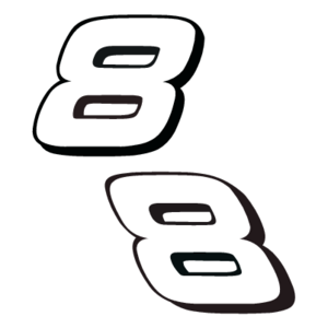 Dale Earnhardt Jr  Logo