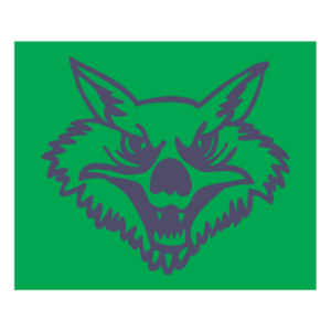 Wolf Flying Group Logo