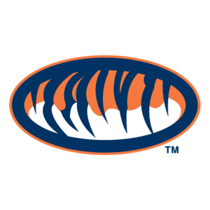 Auburn Tigers(250) Logo