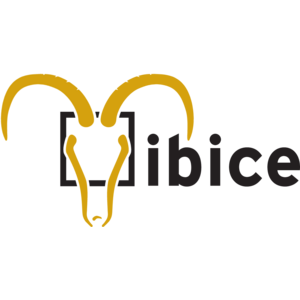ibice Logo